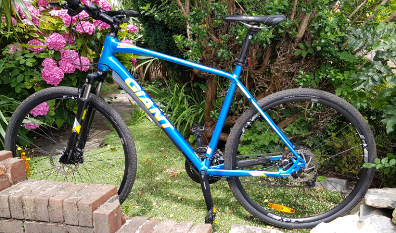 giant roam 2 blue